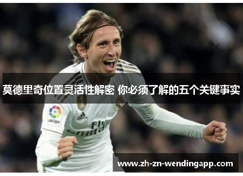 莫德里奇位置灵活性解密 你必须了解的五个关键事实