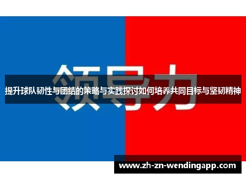 提升球队韧性与团结的策略与实践探讨如何培养共同目标与坚韧精神