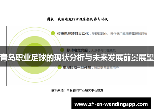 青岛职业足球的现状分析与未来发展前景展望