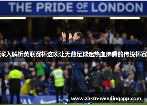 深入解析英联赛杯这项让无数足球迷热血沸腾的传统杯赛