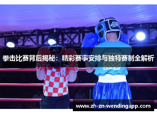 拳击比赛背后揭秘：精彩赛事安排与独特赛制全解析