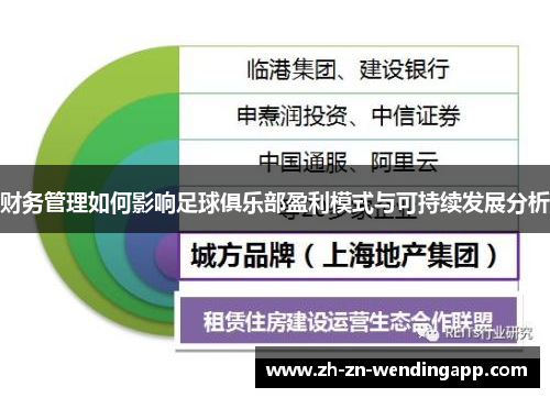 财务管理如何影响足球俱乐部盈利模式与可持续发展分析 财务管理如何影响足球俱乐部盈利模式与可持续发展分析
